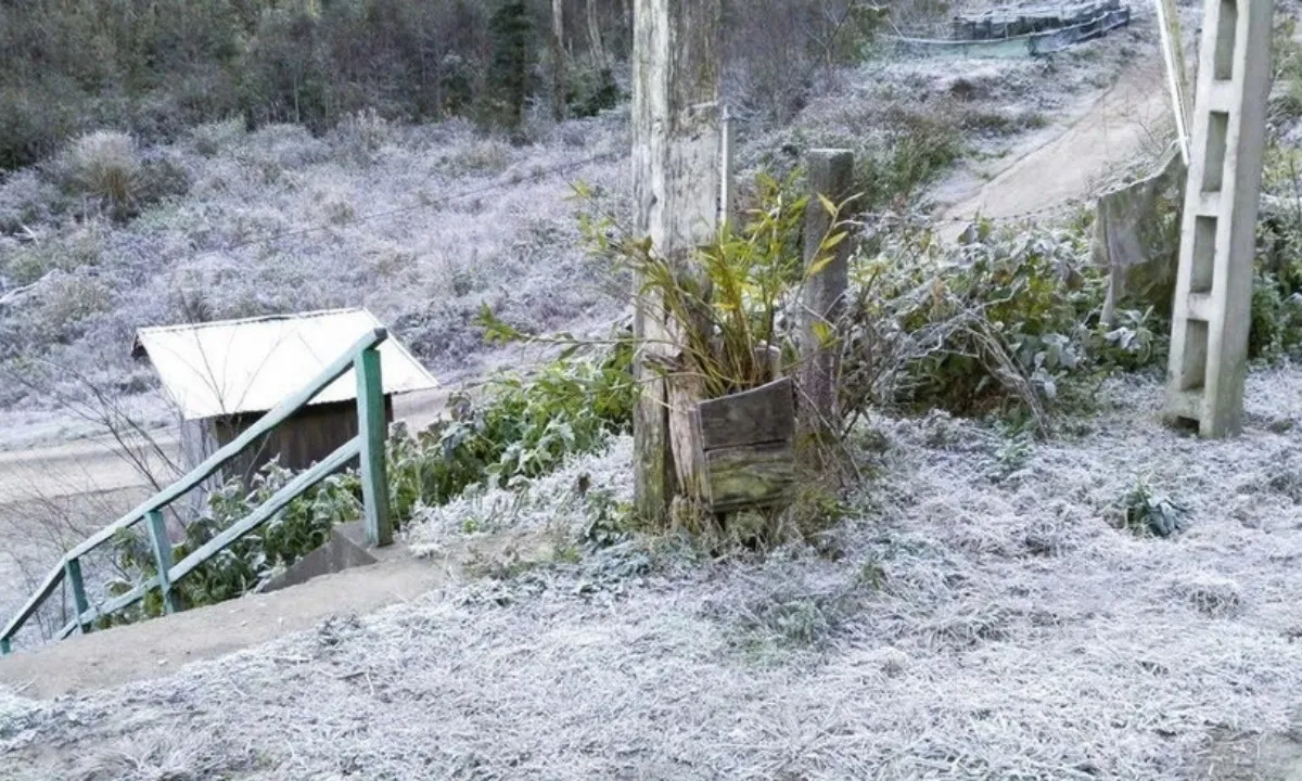 Băng giá phủ trắng Na Ngoi, vùng biên Nghệ An căng mình chống rét