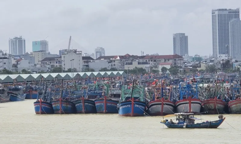 Tháng 12 có thể xuất hiện 1–2 cơn bão, áp thấp trên Biển Đông