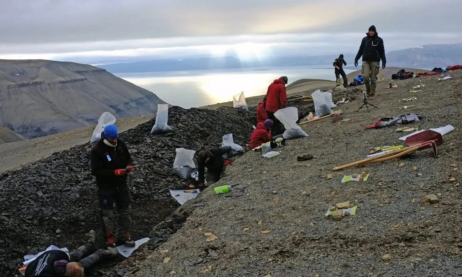 Tìm thấy hóa thạch đàn thủy quái 249 triệu năm tuổi trên đảo Bắc Băng Dương 