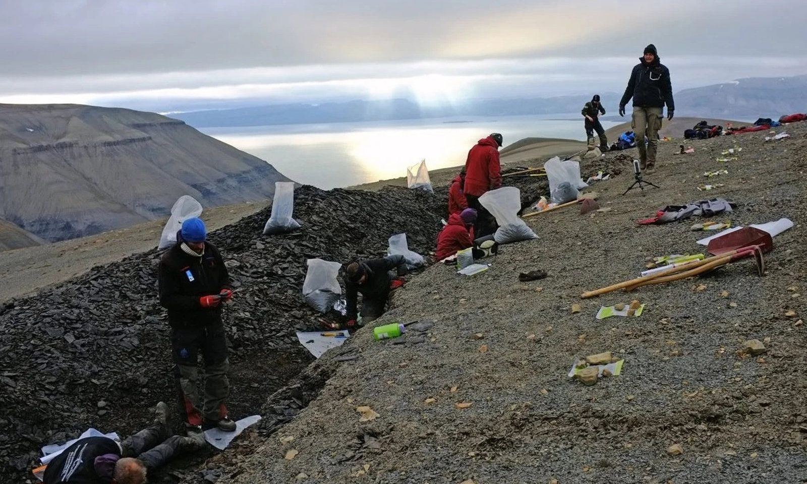 Tìm thấy hóa thạch đàn thủy quái 249 triệu năm tuổi trên đảo Bắc Băng Dương