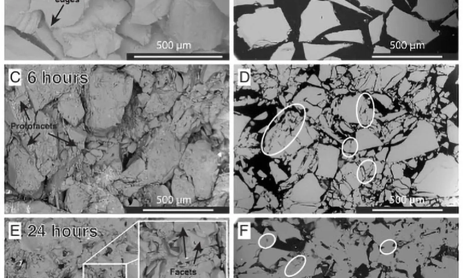 Phát hiện đứt gãy sâu có khả năng “tự hàn gắn”, lo ngại nguy cơ xuất hiện động đất mạnh