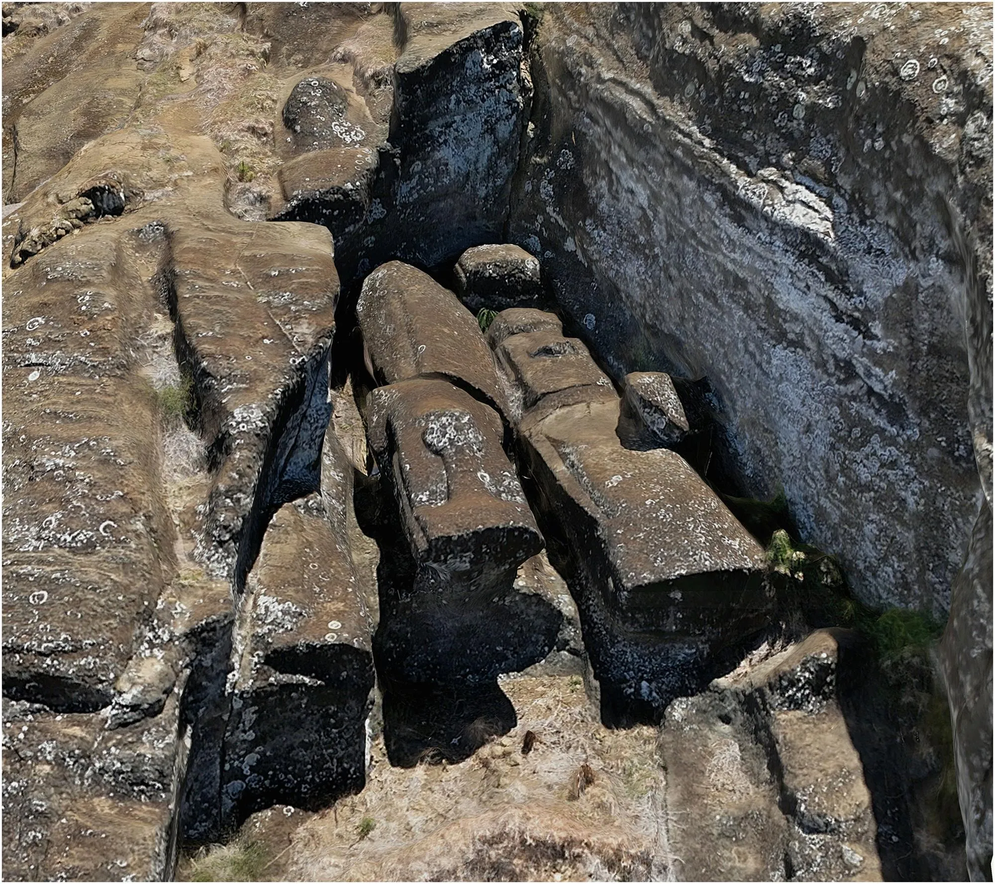 tuong Moai