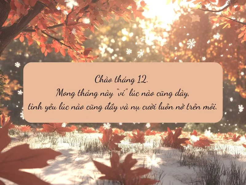 voh-stt-chao-thang-12-1