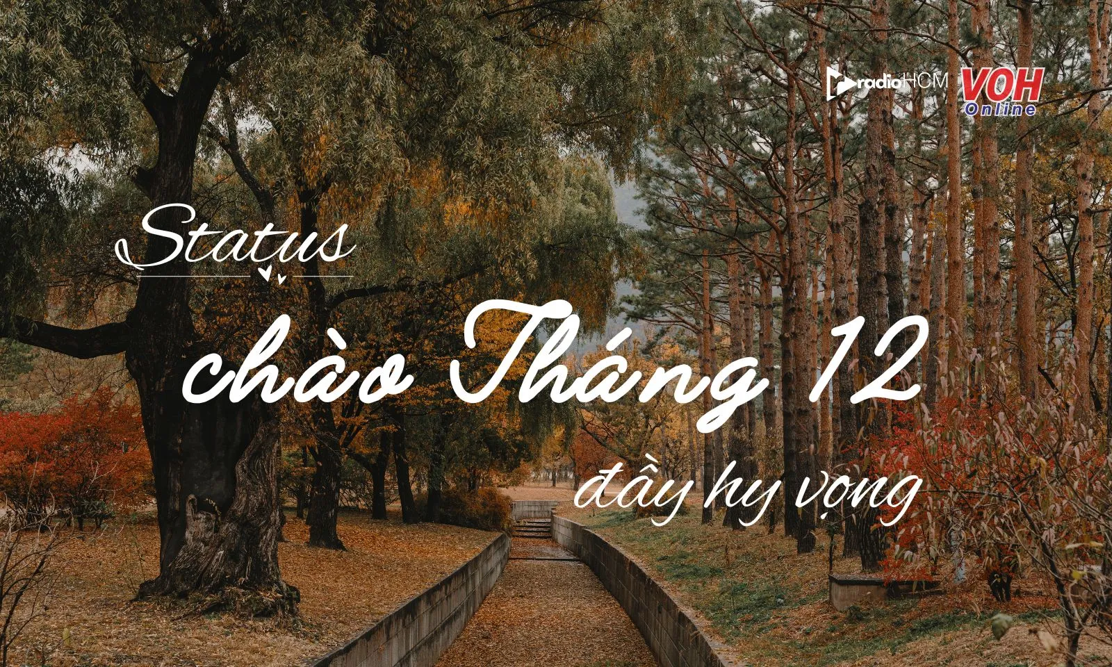 50+ stt chào tháng 12 đầy rực rỡ, ấm áp