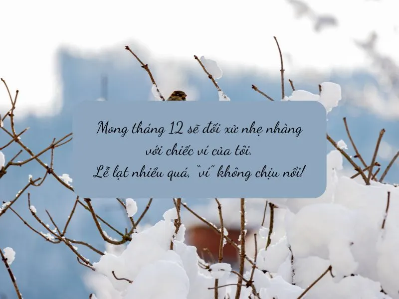 voh-stt-chao-thang-12-2