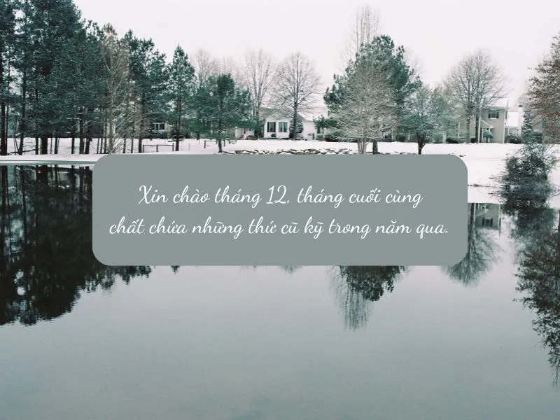 voh-stt-chao-thang-12-3