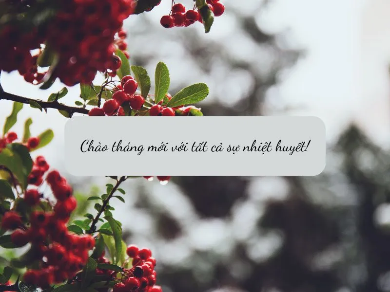 voh-stt-chao-thang-12-4