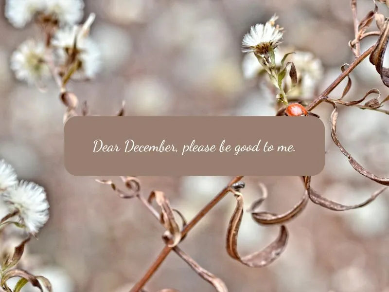 voh-stt-chao-thang-12-5