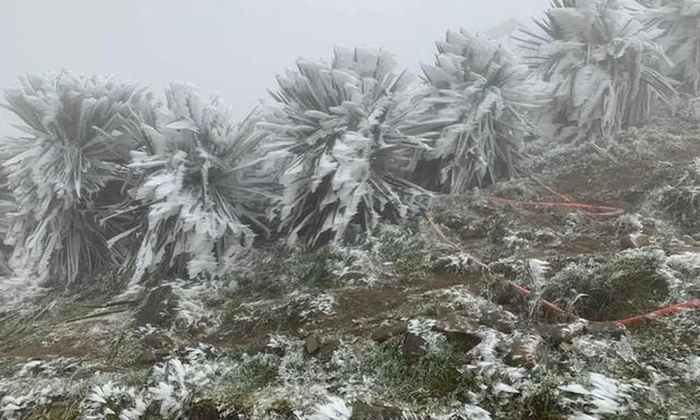 Không khí lạnh tăng cường, Bắc bộ rét – Trung bộ mưa lớn kéo dài