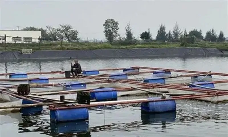 nuôi trồng thủy sản