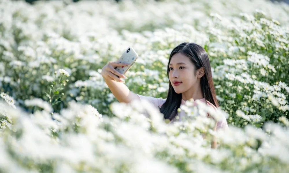 Lịch nghỉ Tết Dương lịch 2026