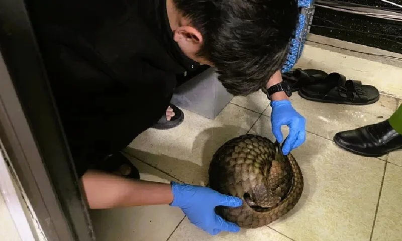 z72956554202037c97ea72d273bd473cdc9eaacc9baeff-176492721229024255748-thumb