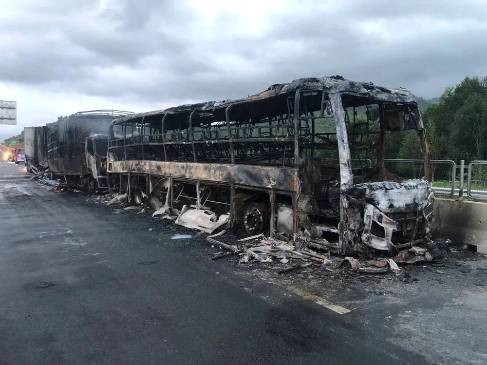 chay-1764997612881458643703