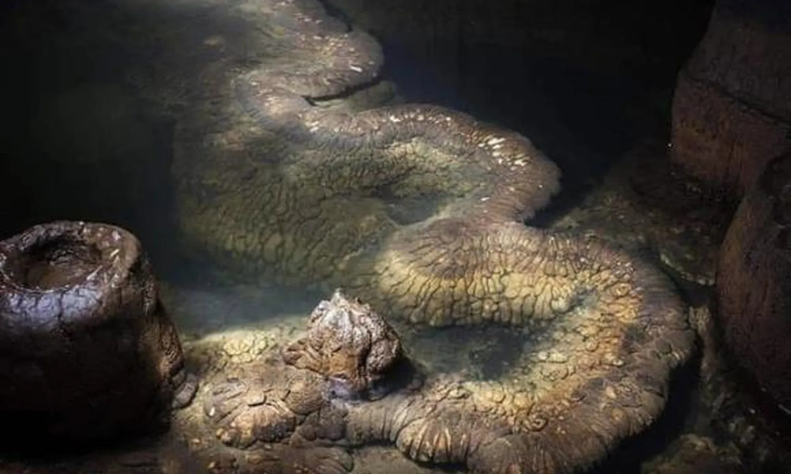 Khối đá hình rồng dài 13m trong hang động khiến giới khoa học chú ý