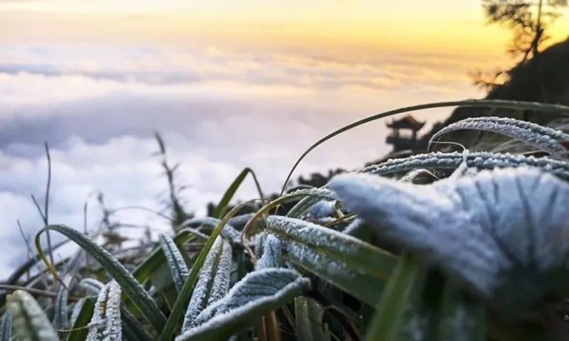 Rét đậm cuối tháng 12, miền núi có nguy cơ xuất hiện băng giá