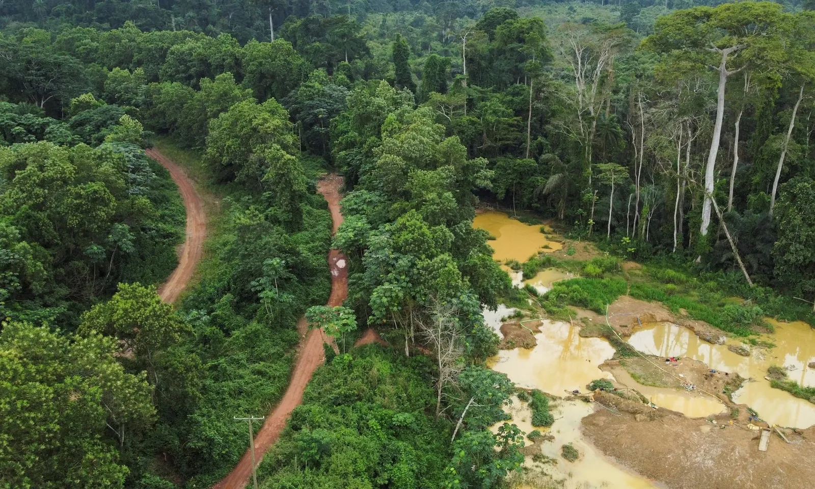 Ghana cấm khai thác mỏ trong rừng phòng hộ để ngăn chặn nạn phá rừng