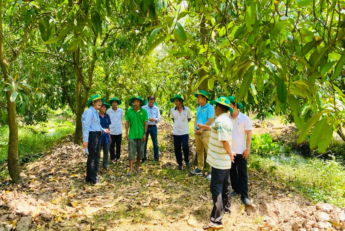 Anh 2 - Cán bộ nông nghiệp và chuyên gia kỹ thuật đến khảo sát thực tế vườn cây ăn trái tại Đồng Tháp để hướng dẫn biện pháp phục hồi sau ngập úng cho nhà vườn. Ảnh Hồ Huy