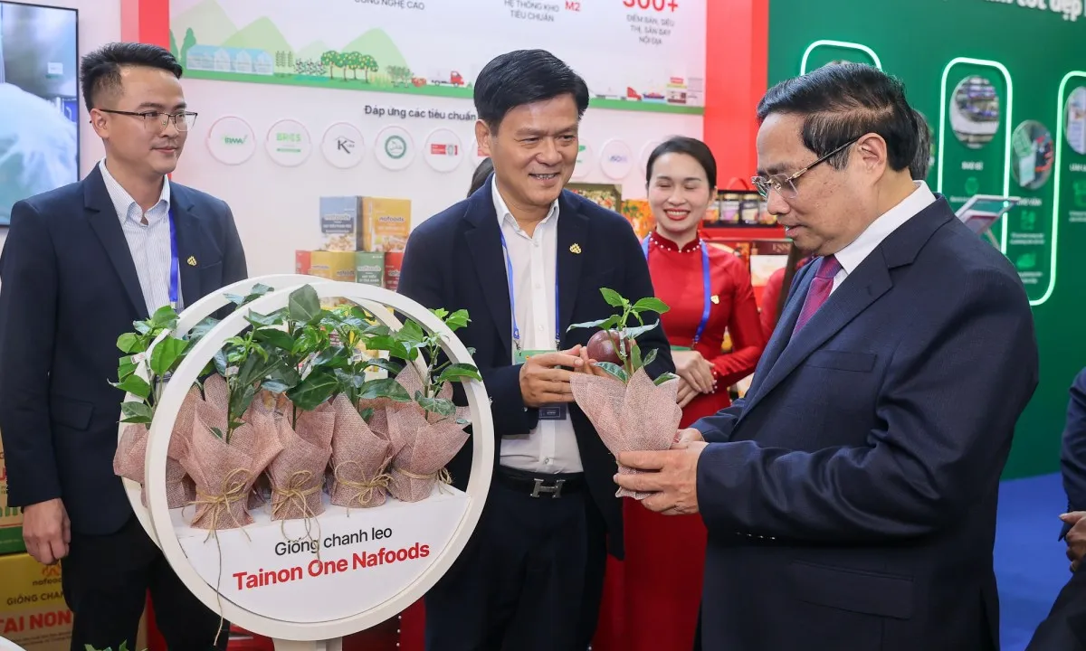 img7055-17658843435181576631572