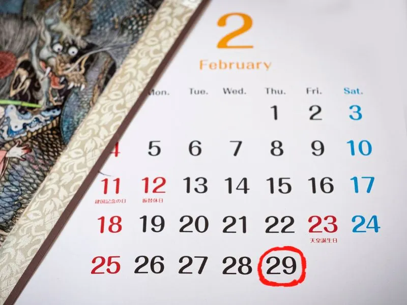 voh-nam-2026-co-nhuan-khong-2