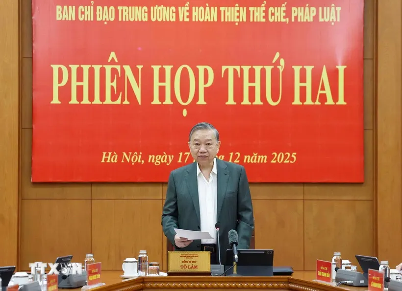 1712-tong-bi-thu-ban-chi-dao-trung-uong-hoan-thien-the-che-6