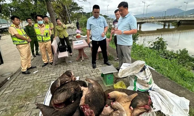 Xe khách chở hàng loạt thùng xốp, bao tải nghi thịt động vật hoang dã