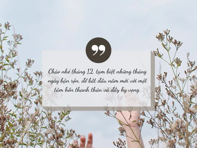 voh-stt-tam-biet-thang-12-1