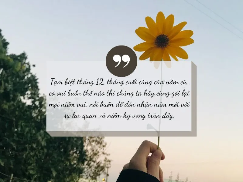 voh-stt-tam-biet-thang-12-2