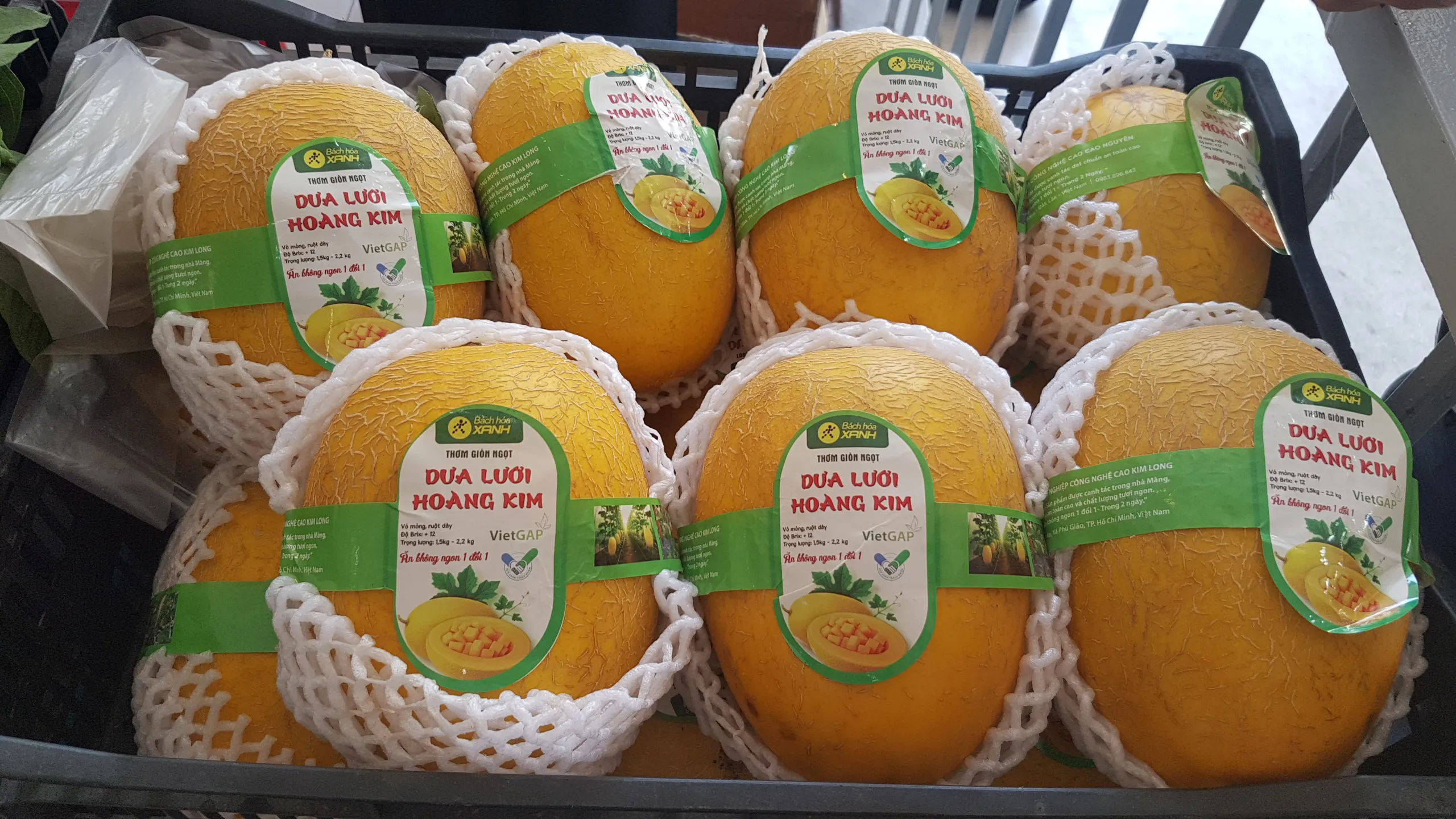 20251219-085457_20251219151807jpg