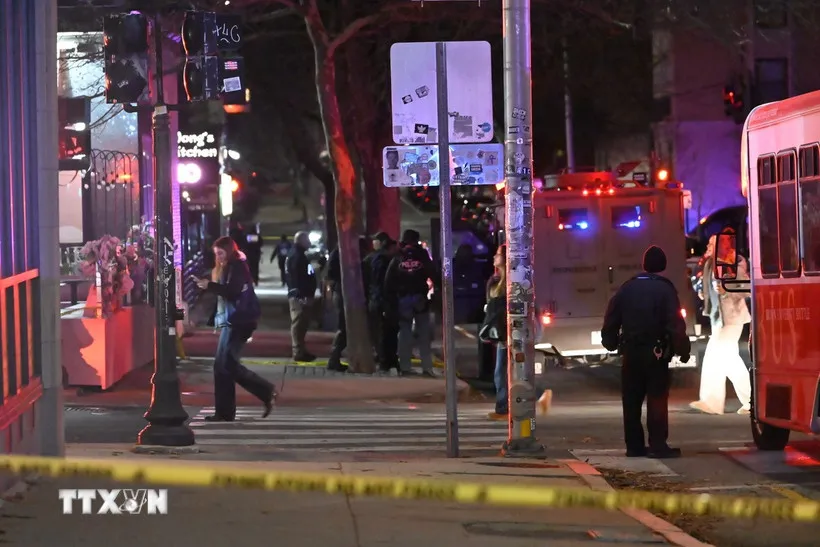 dai-hoc-brown-resize