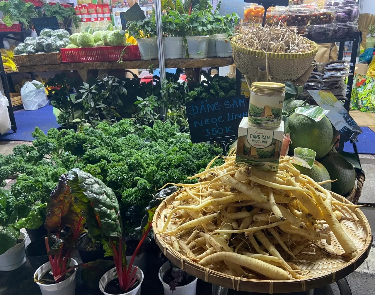 c83380e177fcf8a2a1ed6