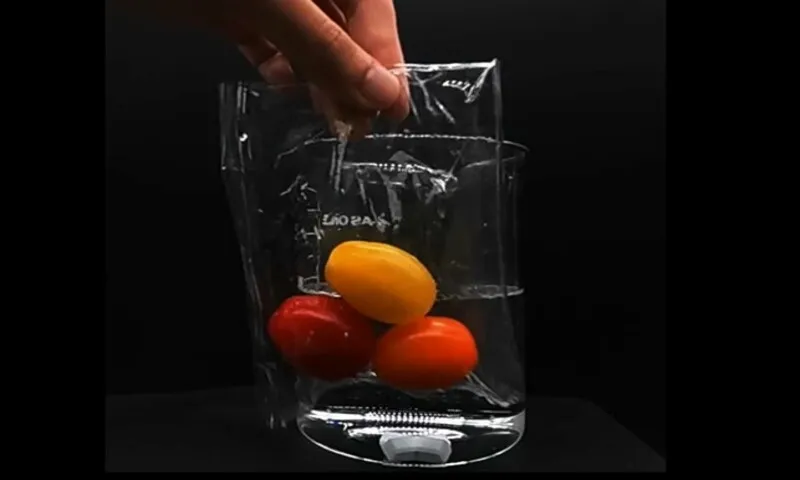 Loại nhựa mới từ thực vật có thể tan hoàn toàn trong nước biển