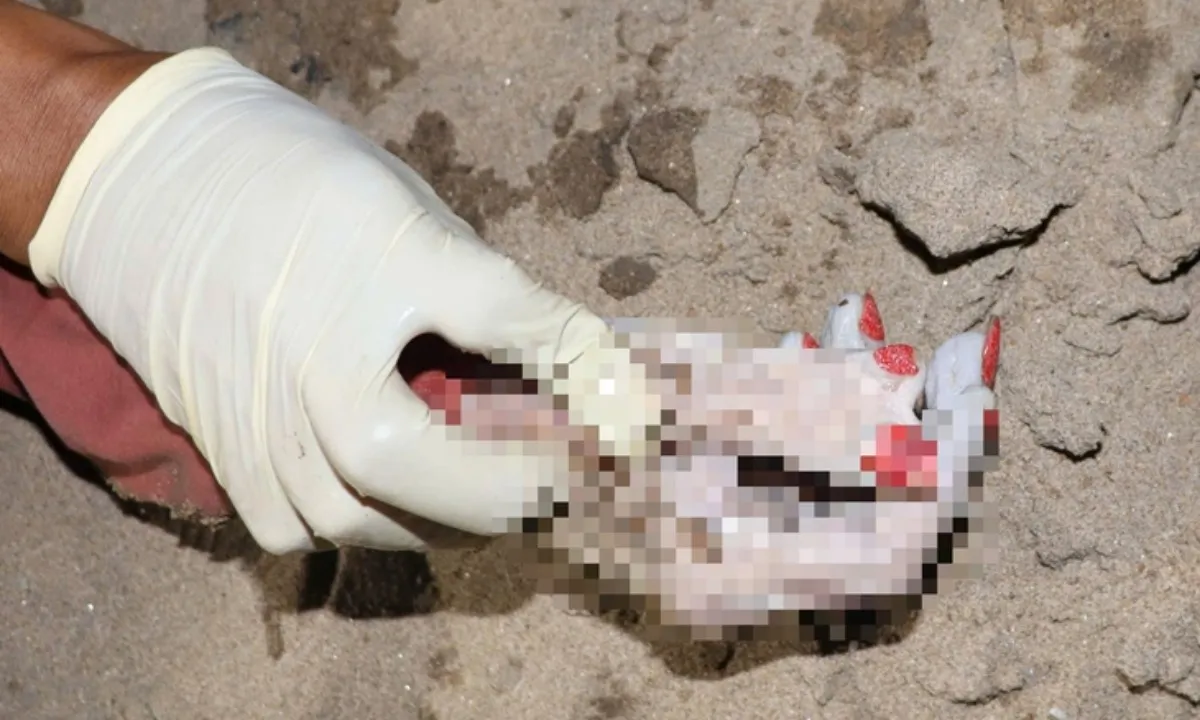 base64-17663667840622137918374