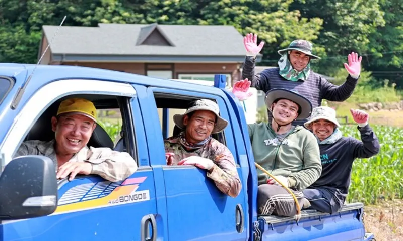 Hàn Quốc sẽ giảm hạn ngạch thị thực E-9 xuống 80.000 suất trong năm 2026