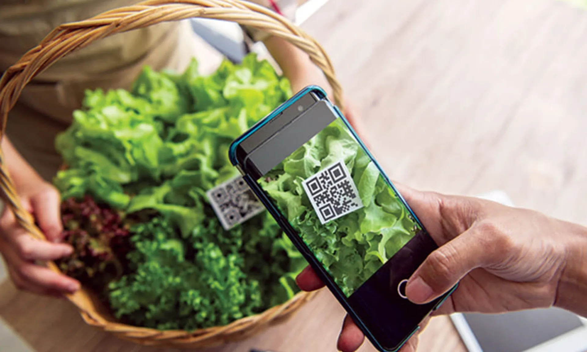 truy-xuat-nguon-goc-221225