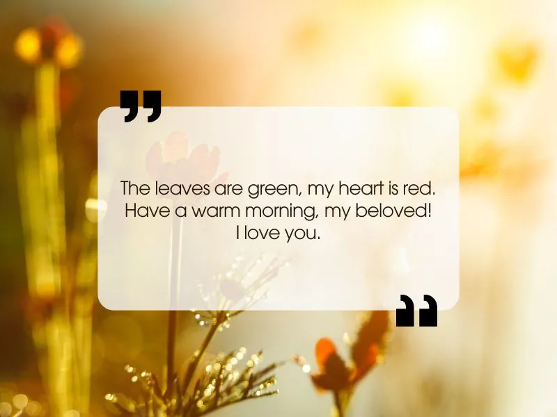 voh-loi-chuc-ngay-moi-bang-tieng-anh-5