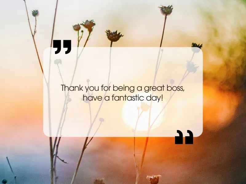 voh-loi-chuc-ngay-moi-bang-tieng-anh-7