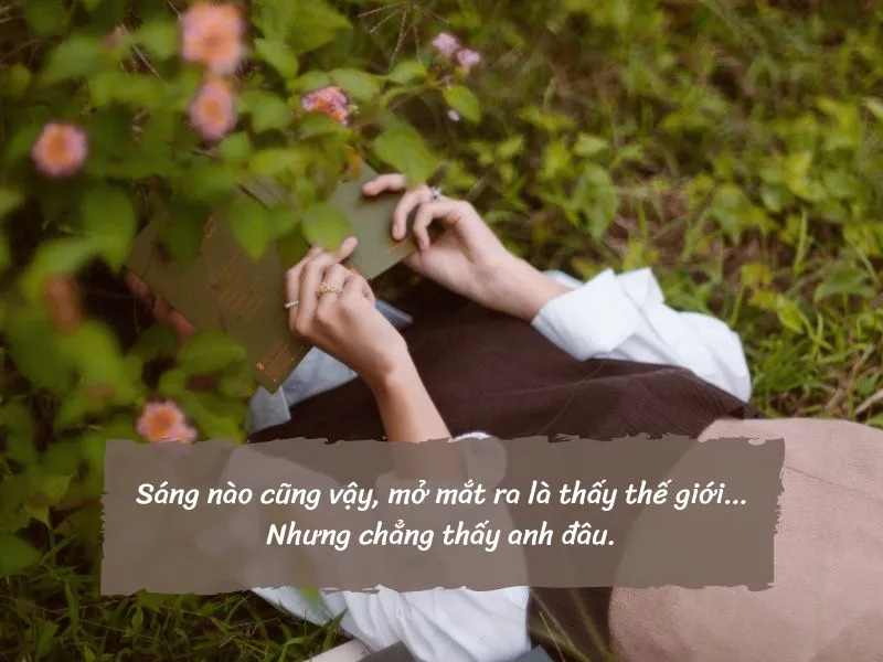 voh-stt-tha-thinh-buoi-sang-2