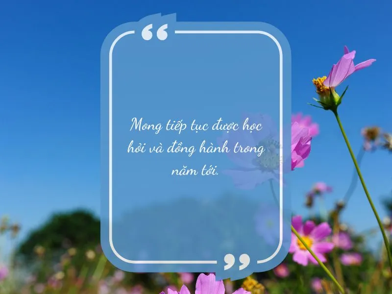 voh-loi-cam-on-cuoi-nam-3