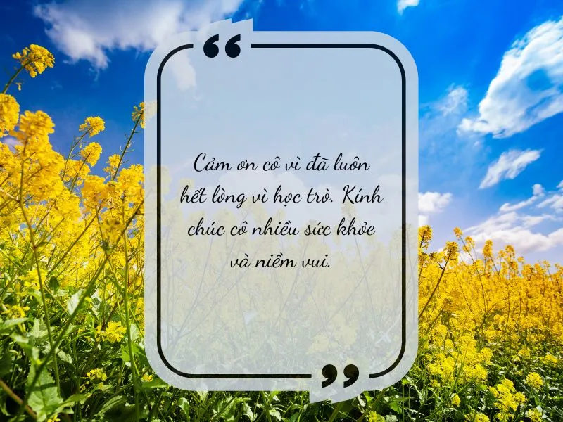 voh-loi-cam-on-cuoi-nam-4