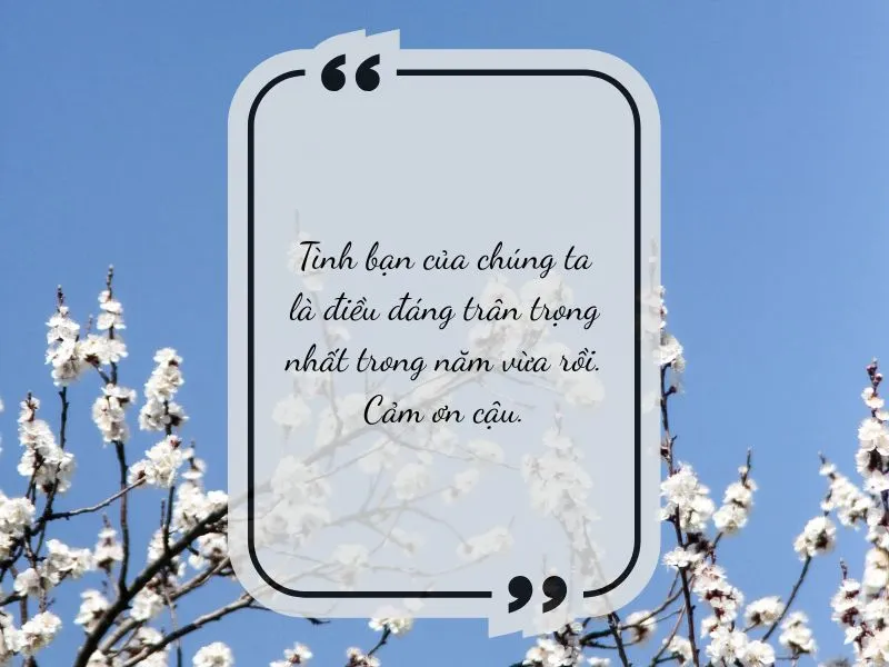 voh-loi-cam-on-cuoi-nam-5