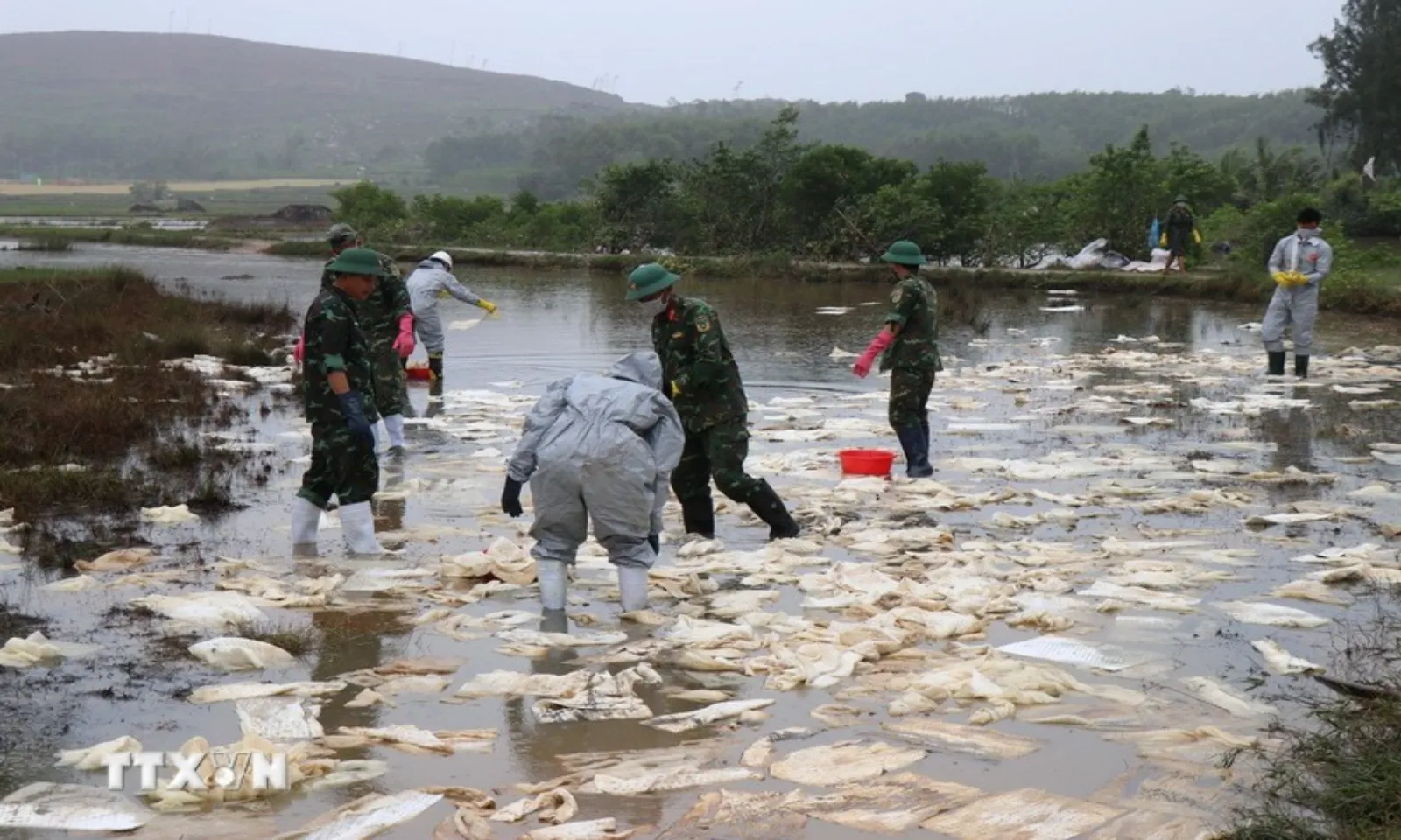 Dầu tràn từ kho xăng ở Quảng Ngãi, hàng chục hộ dân bị ảnh hưởng