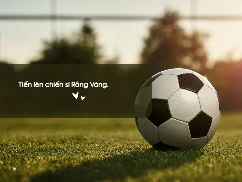 voh-cau-noi-hay-co-vu-bong-da-2