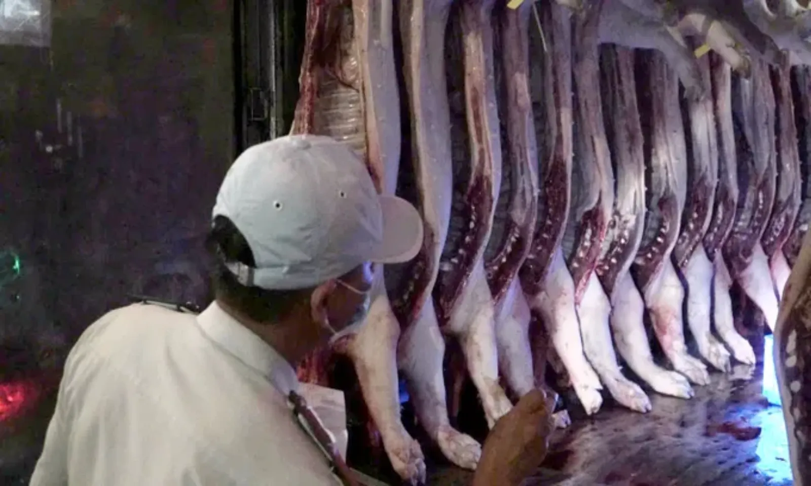 Chủ động nguồn thịt heo, trứng gia cầm phục vụ Tết Nguyên đán 2026