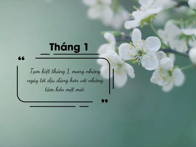 stt-tam-biet-thang-1-1