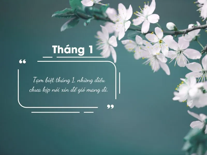 stt-tam-biet-thang-1-2