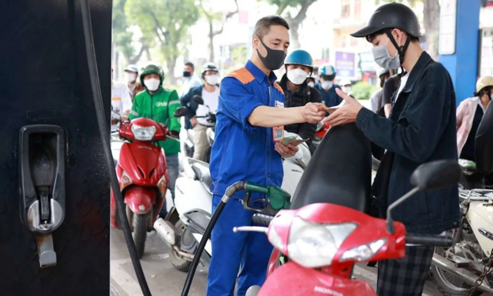 Bản sao của thumb liên cầu lợn