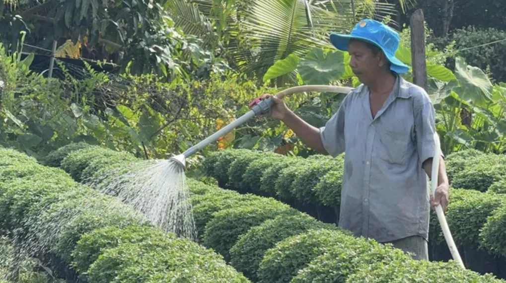 Ảnh chụp màn hình (55)