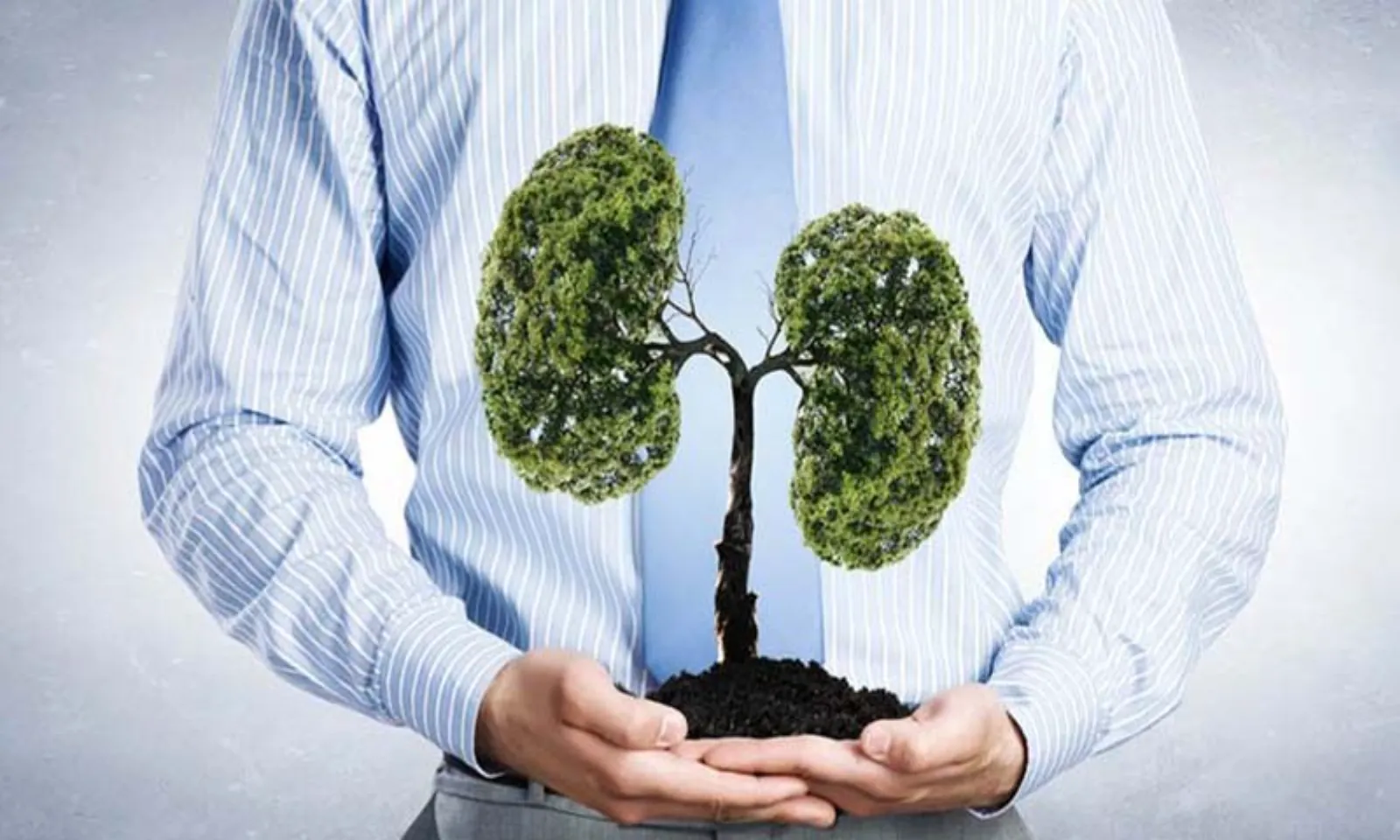 Những cách đơn giản giúp phổi luôn khỏe mạnh – Hình 1