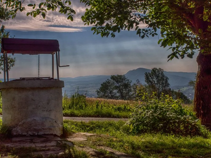 voh-van-khan-cung-gieng-1