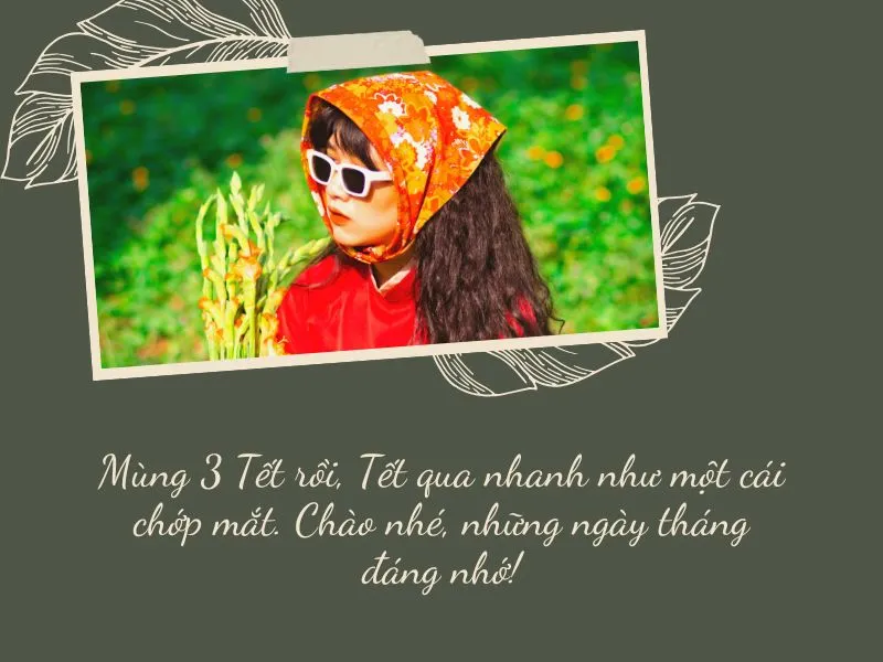 voh-status-mung-3-tet-6